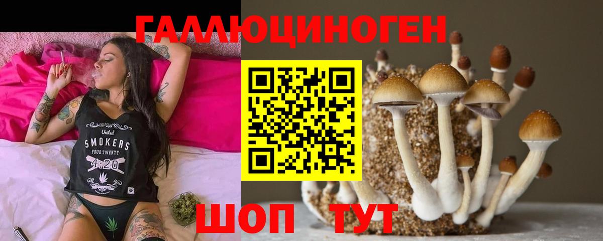 Чехов  Галлюциногенные грибы Magic Shrooms  Вход с VPN  Псилоцибиновые грибы Psilocybine cubensis 