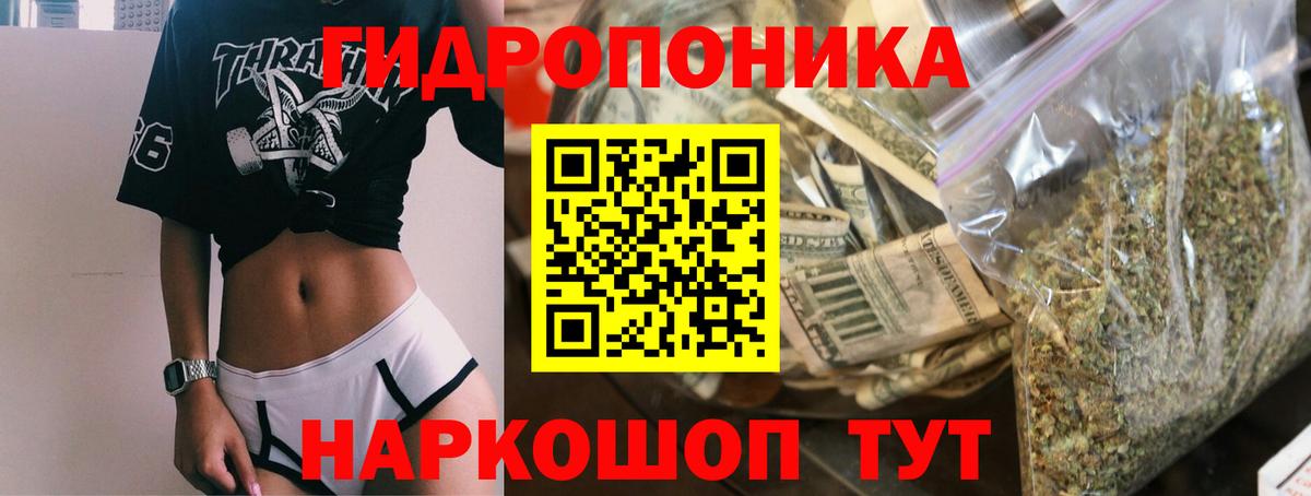 Канабис сатива  Вход с VPN  Марихуана OG Kush  Шишки марихуана конопля  Шишки марихуана план  Чехов 